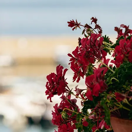 Aparthotel Residenza D'epoca La Corallina 4*